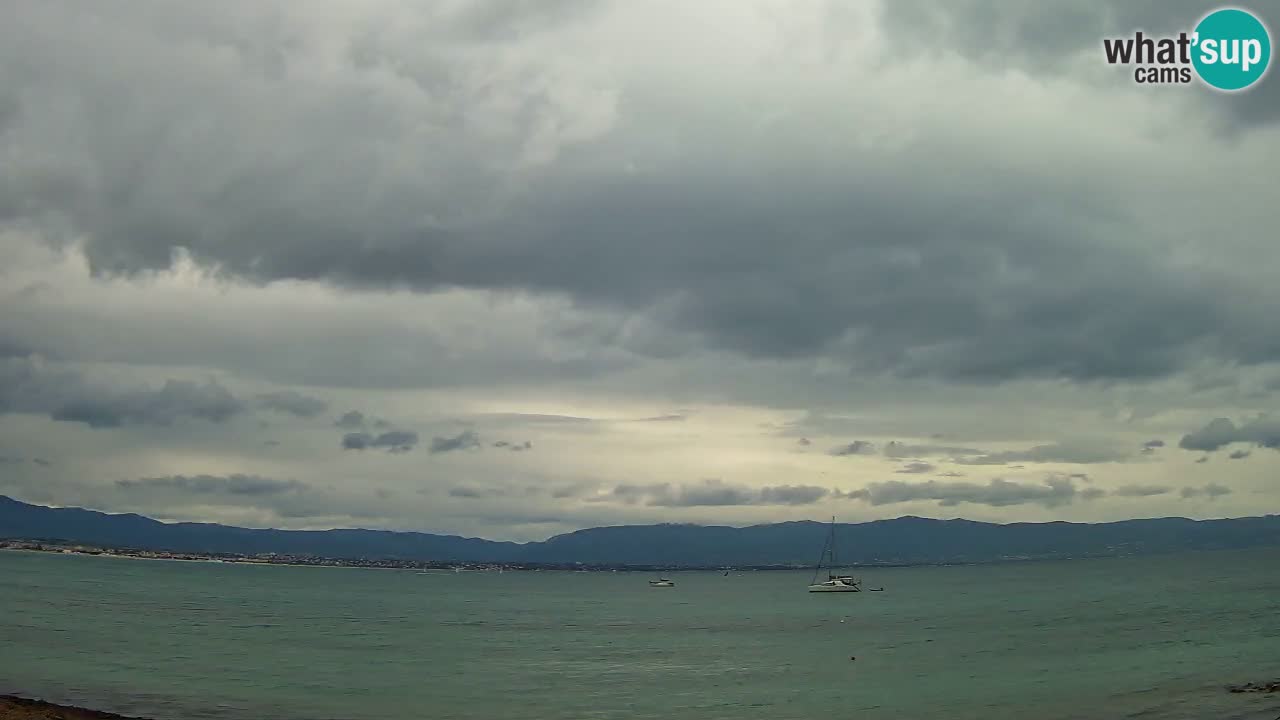 Webcam Cagliari Windsurf Club – Plage du Poetto en direct