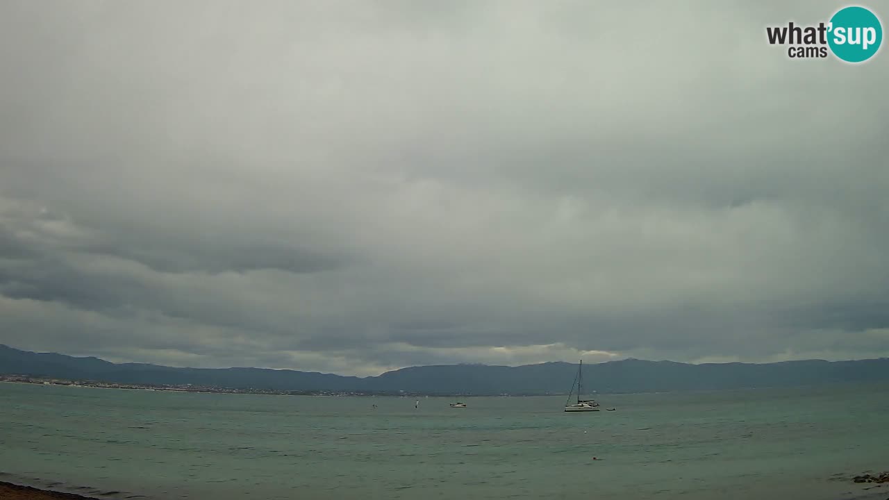 Webcam Cagliari Windsurf Club – Liveblick vom Poetto Strand