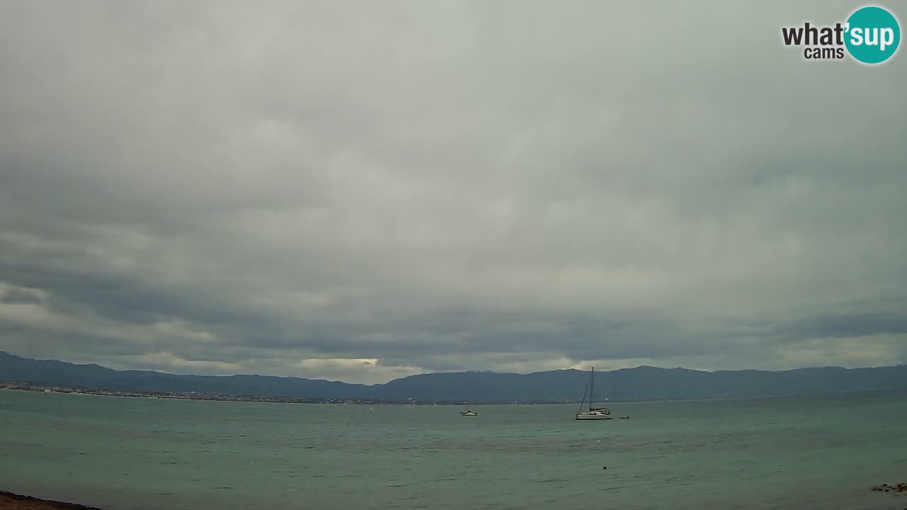 Webcam Cagliari Windsurf Club – Playa del Poetto en directo
