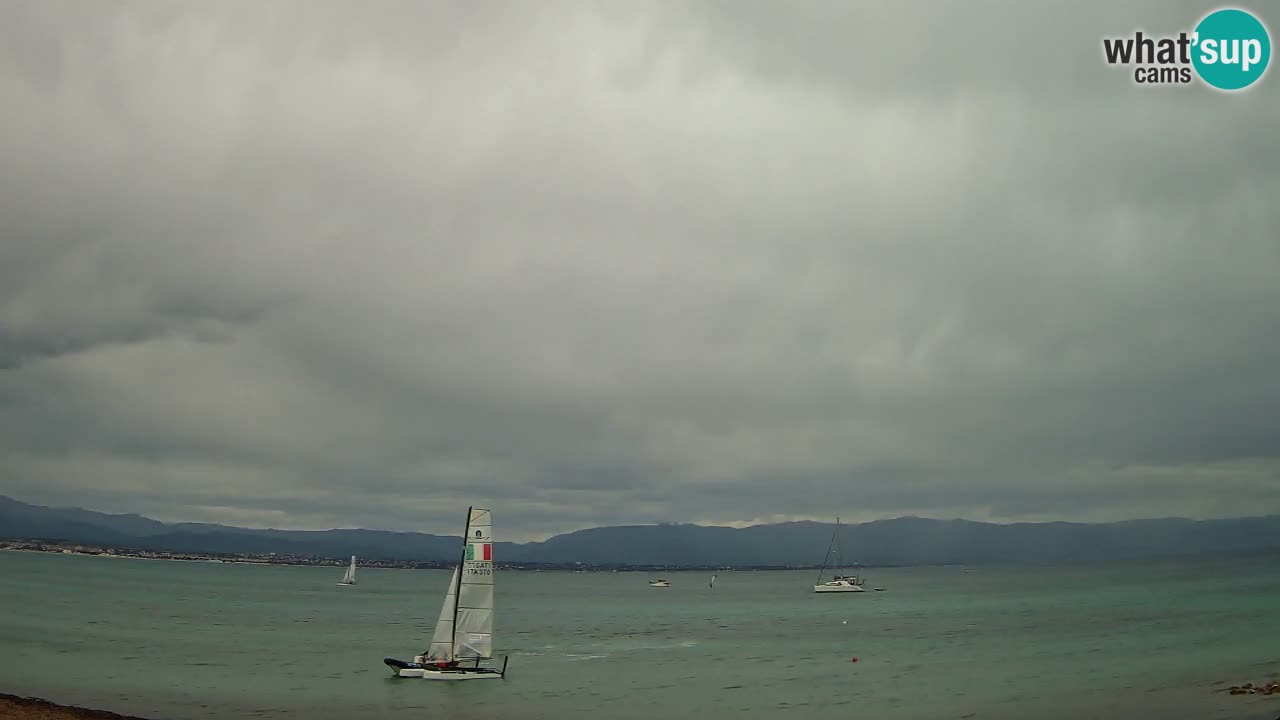 Spletna kamera Cagliari Windsurf Club – Pogled v živo s plaže Poetto