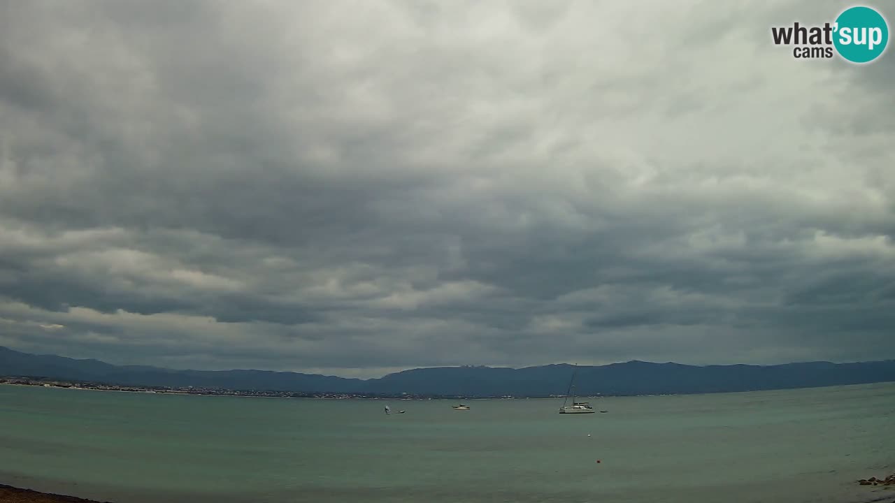 Webcam Cagliari Windsurf Club – Playa del Poetto en directo