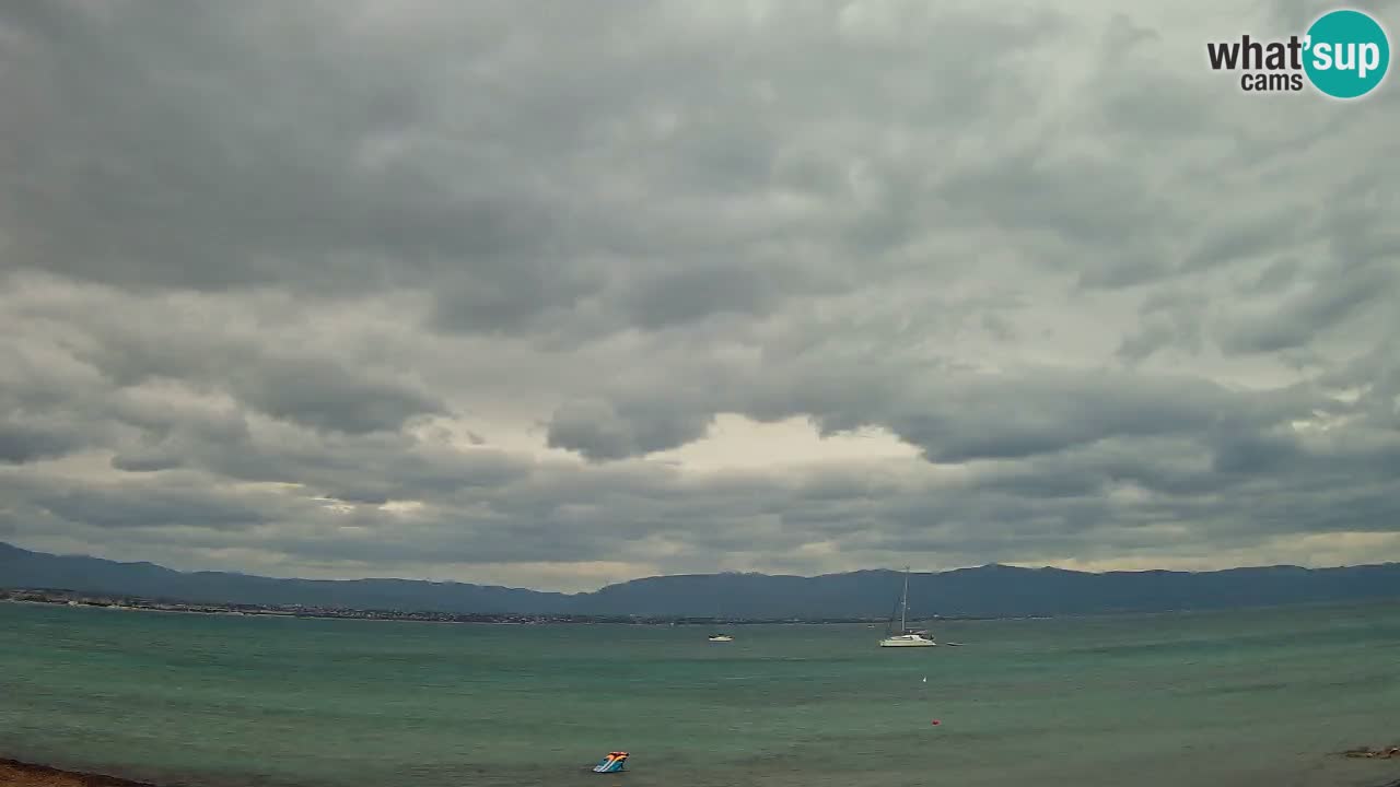 Webcam Cagliari Windsurf Club – Liveblick vom Poetto Strand