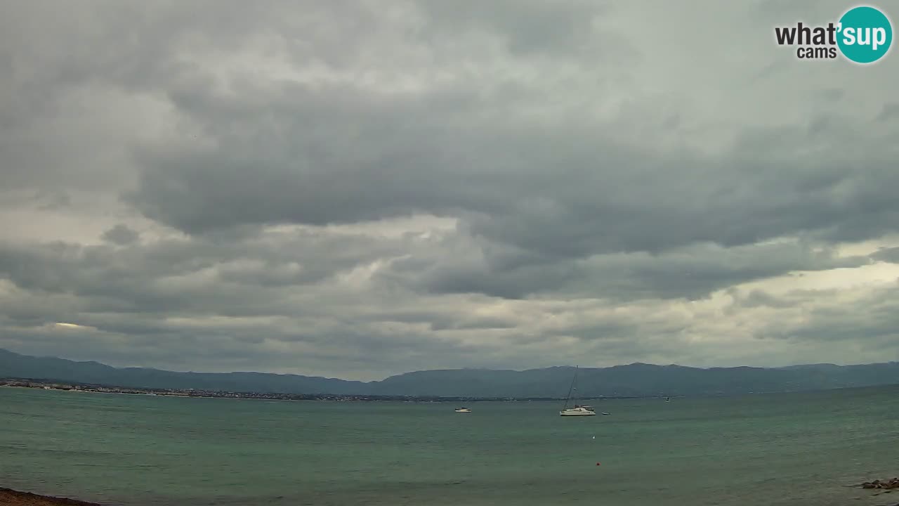 Webcam Cagliari Windsurf Club – Playa del Poetto en directo
