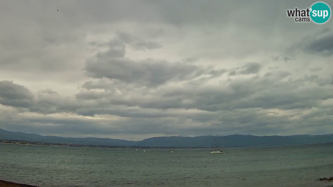 Webcam Cagliari Windsurf Club – Live from Poetto Beach