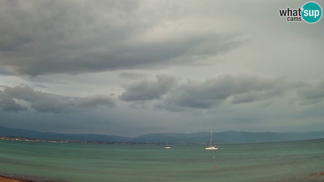 Webcam Cagliari Windsurf Club – Plage du Poetto en direct