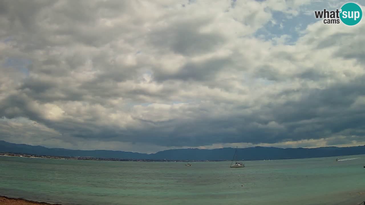 Webcam Cagliari Windsurf Club – Plage du Poetto en direct
