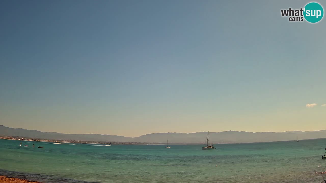 Webcam Cagliari Windsurf Club – Live from Poetto Beach
