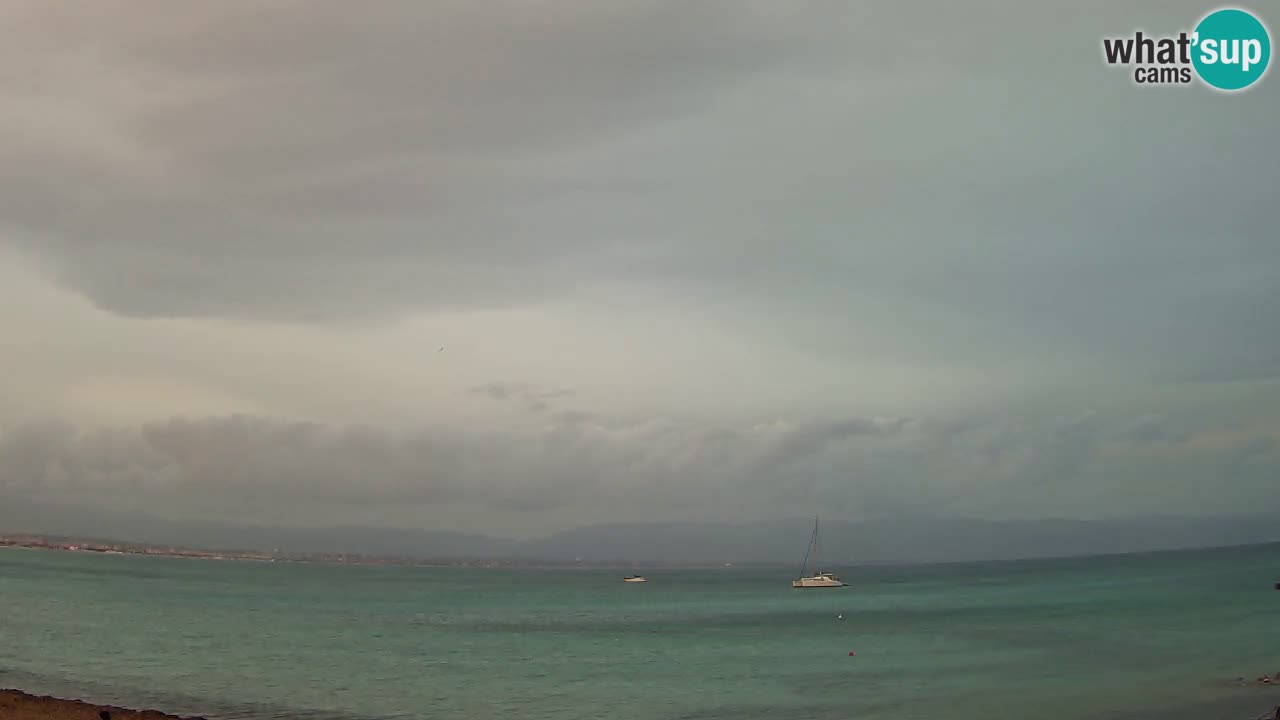 Spletna kamera Cagliari Windsurf Club – Pogled v živo s plaže Poetto