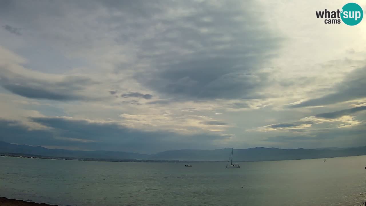 Webcam Cagliari Windsurf Club – Live from Poetto Beach