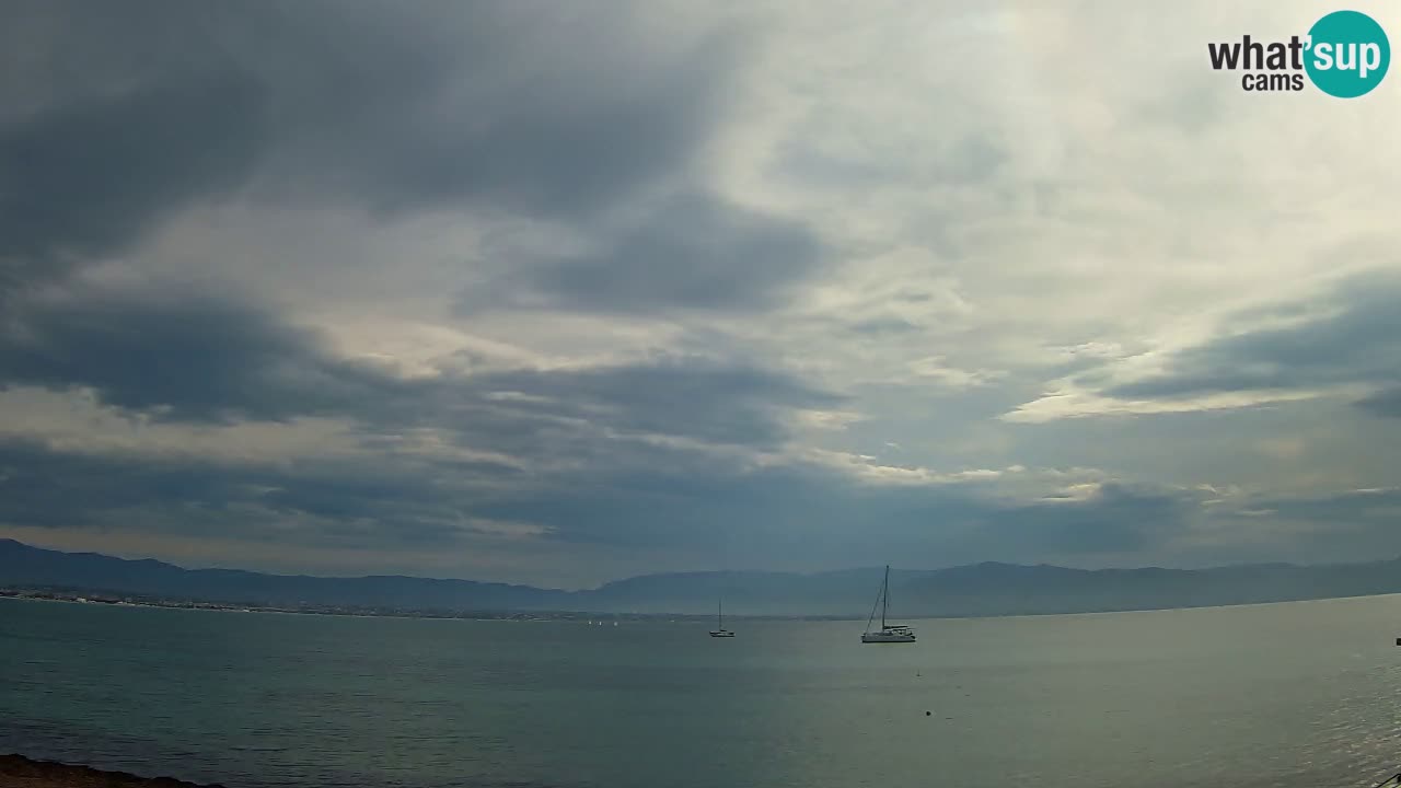 Webcam Cagliari Windsurf Club – Plage du Poetto en direct