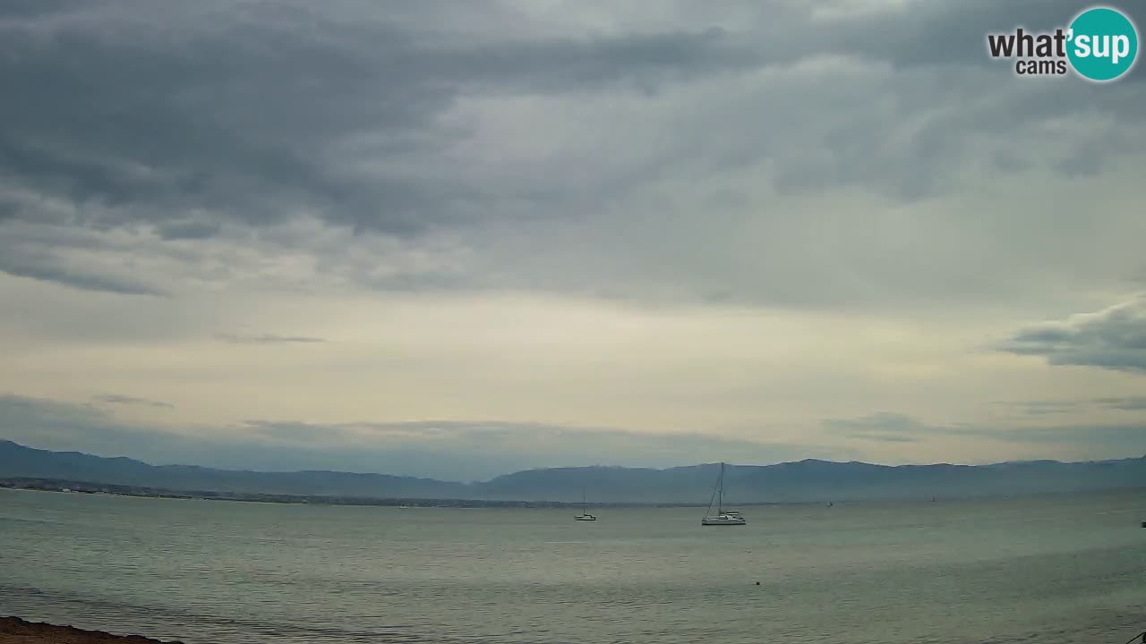 Webcam Cagliari Windsurf Club – Plage du Poetto en direct