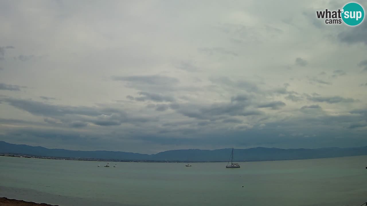 Webcam Cagliari Windsurf Club – Playa del Poetto en directo