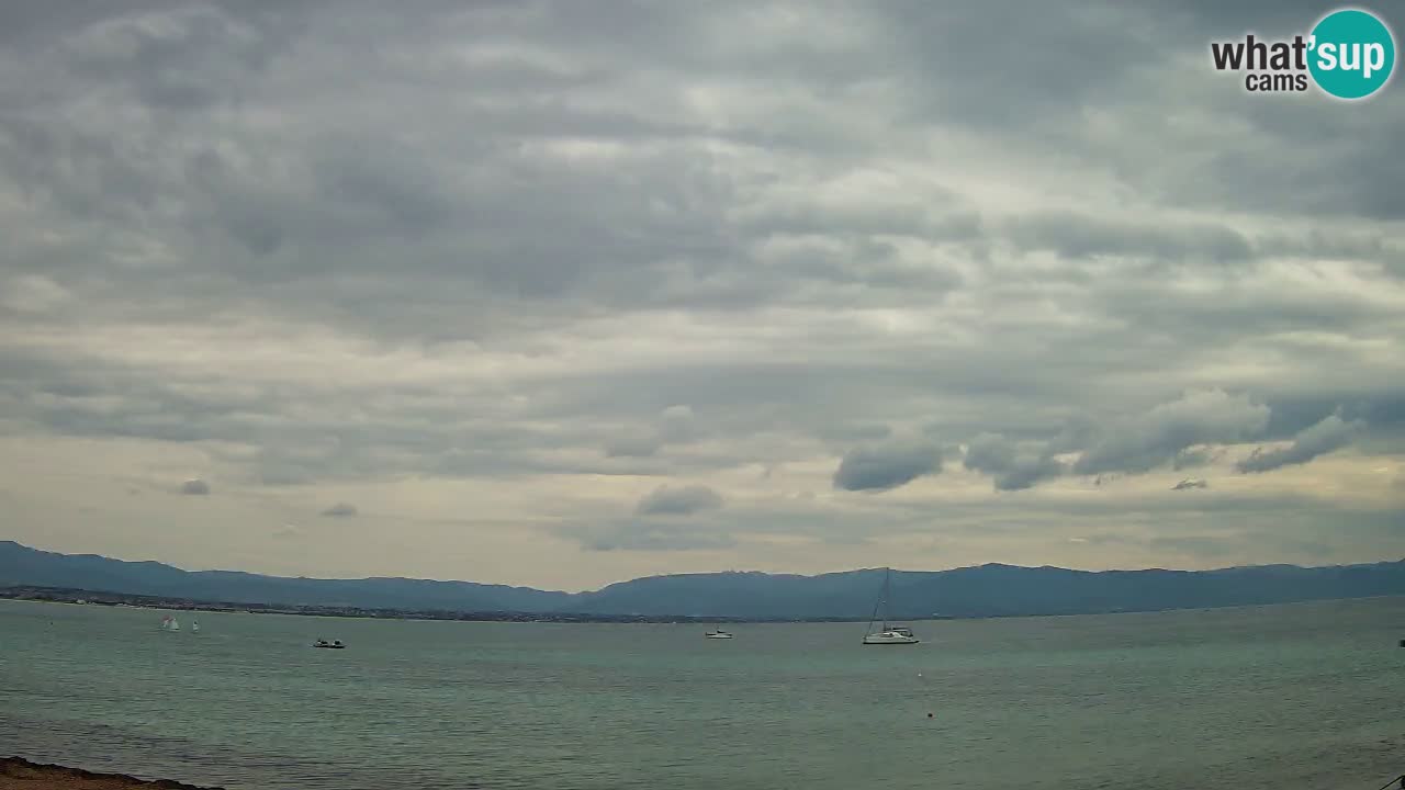 Spletna kamera Cagliari Windsurf Club – Pogled v živo s plaže Poetto
