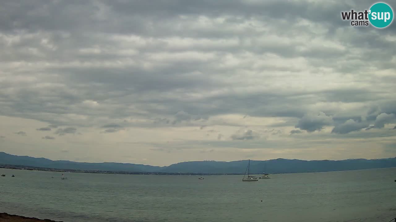 Webcam Cagliari Windsurf Club – Live from Poetto Beach