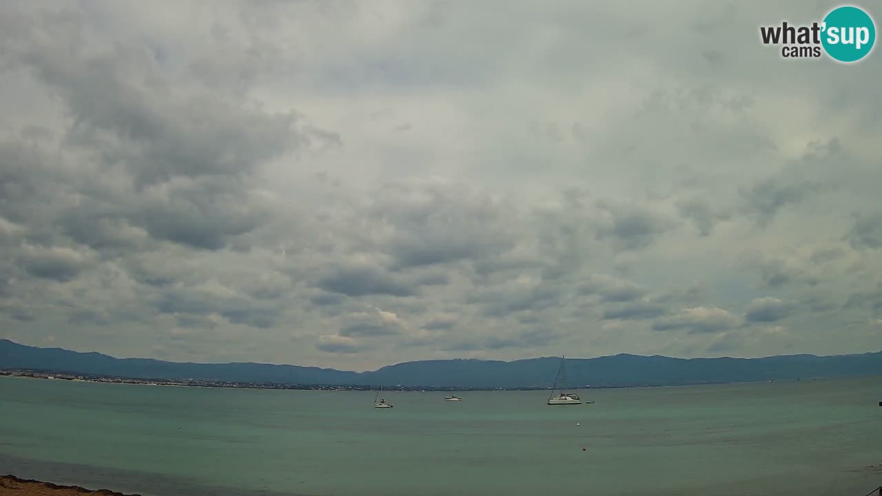 Webcam Cagliari Windsurf Club – Spiaggia del Poetto in diretta