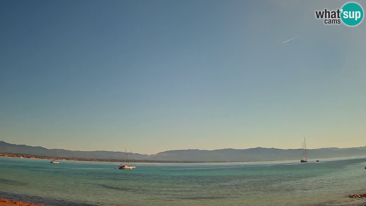 Webcam Cagliari Windsurf Club – Plage du Poetto en direct