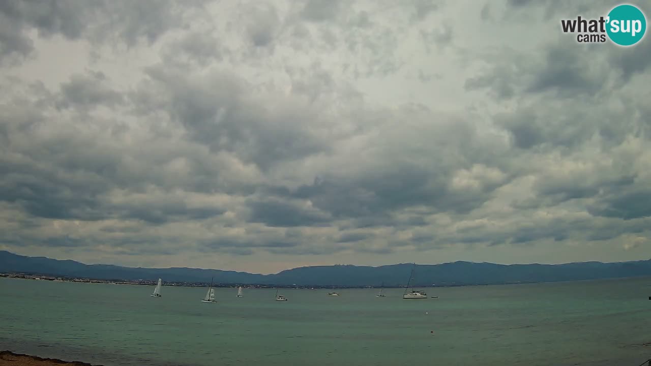 Webcam Cagliari Windsurf Club – Liveblick vom Poetto Strand