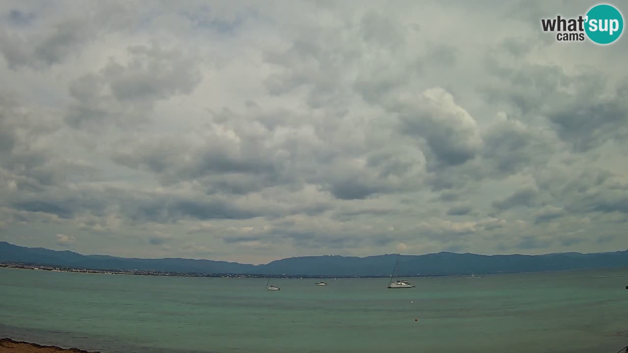 Webcam Cagliari Windsurf Club – Spiaggia del Poetto in diretta