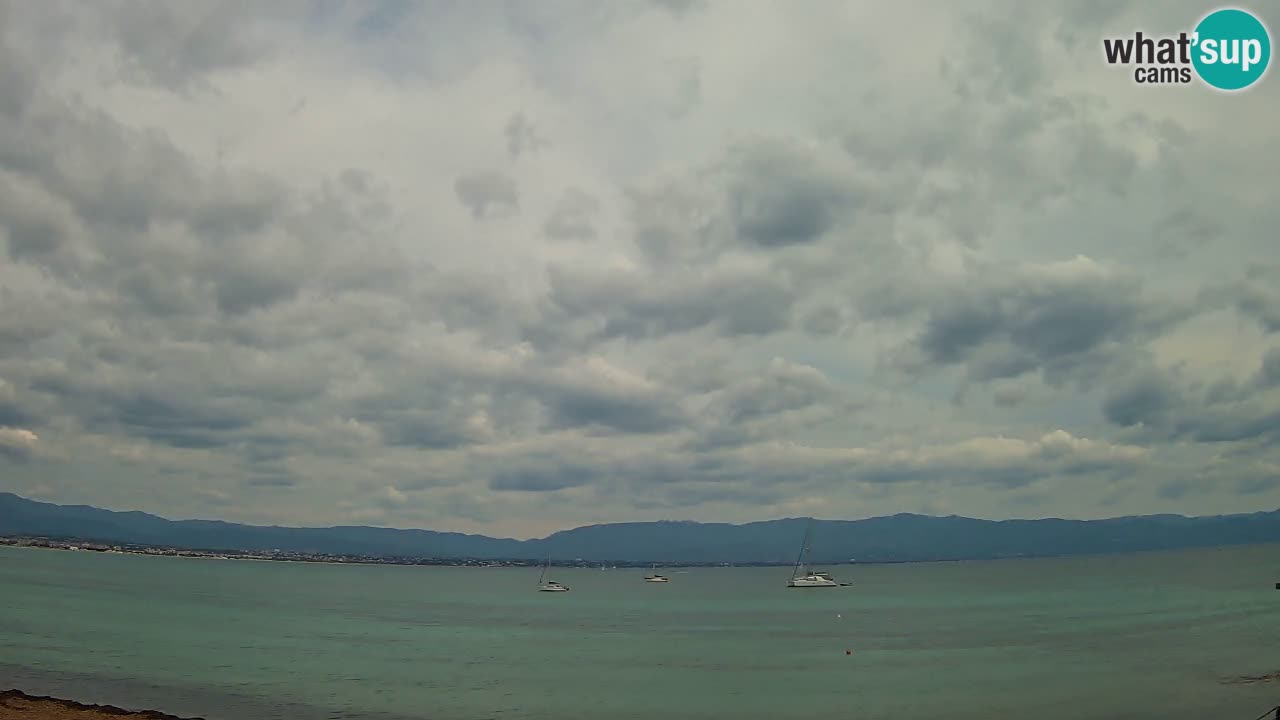 Webcam Cagliari Windsurf Club – Spiaggia del Poetto in diretta