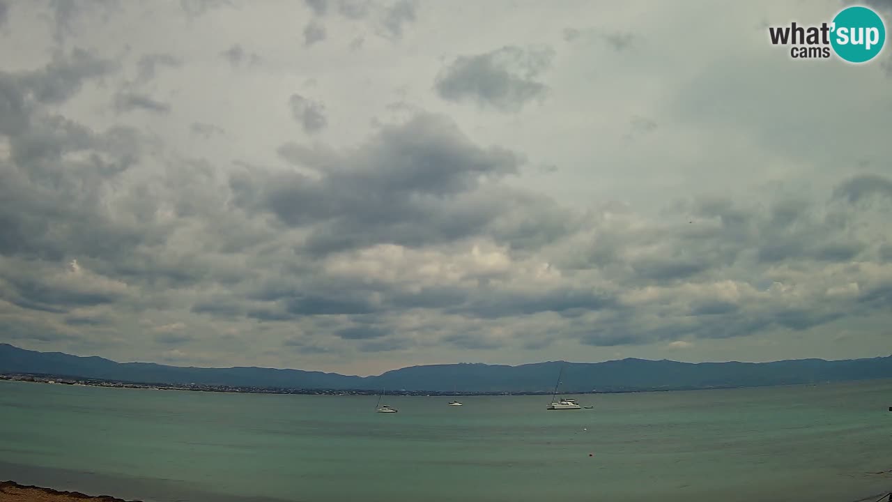 Webcam Cagliari Windsurf Club – Live from Poetto Beach