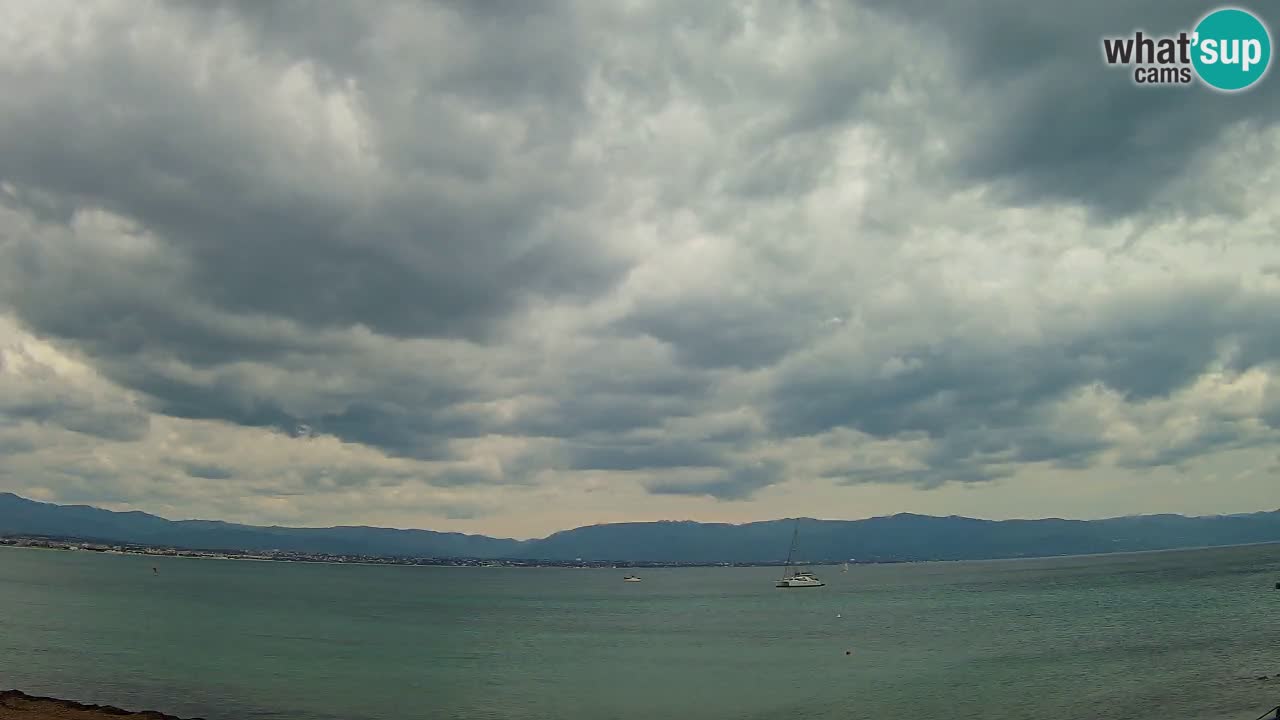 Webcam Cagliari Windsurf Club – Playa del Poetto en directo