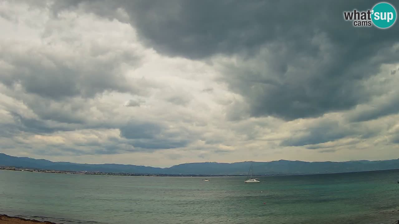 Spletna kamera Cagliari Windsurf Club – Pogled v živo s plaže Poetto