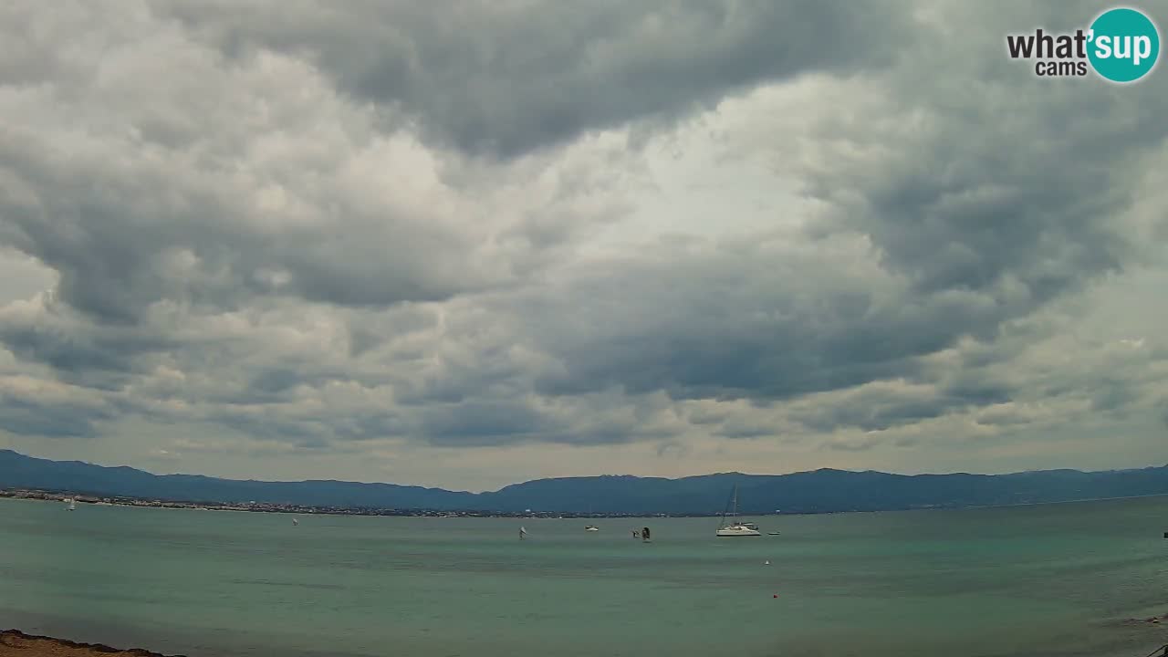 Spletna kamera Cagliari Windsurf Club – Pogled v živo s plaže Poetto