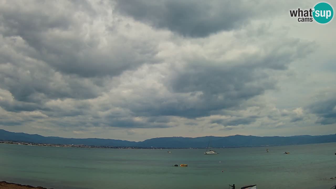 Spletna kamera Cagliari Windsurf Club – Pogled v živo s plaže Poetto