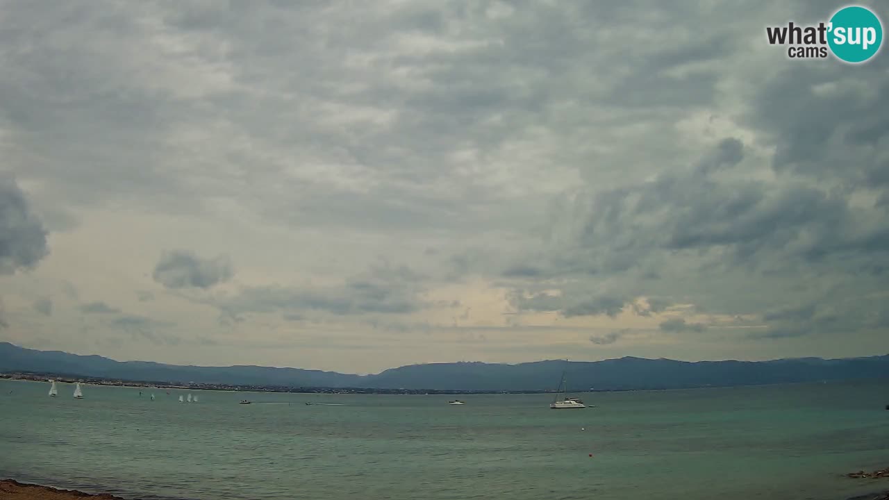 Webcam Cagliari Windsurf Club – Live from Poetto Beach