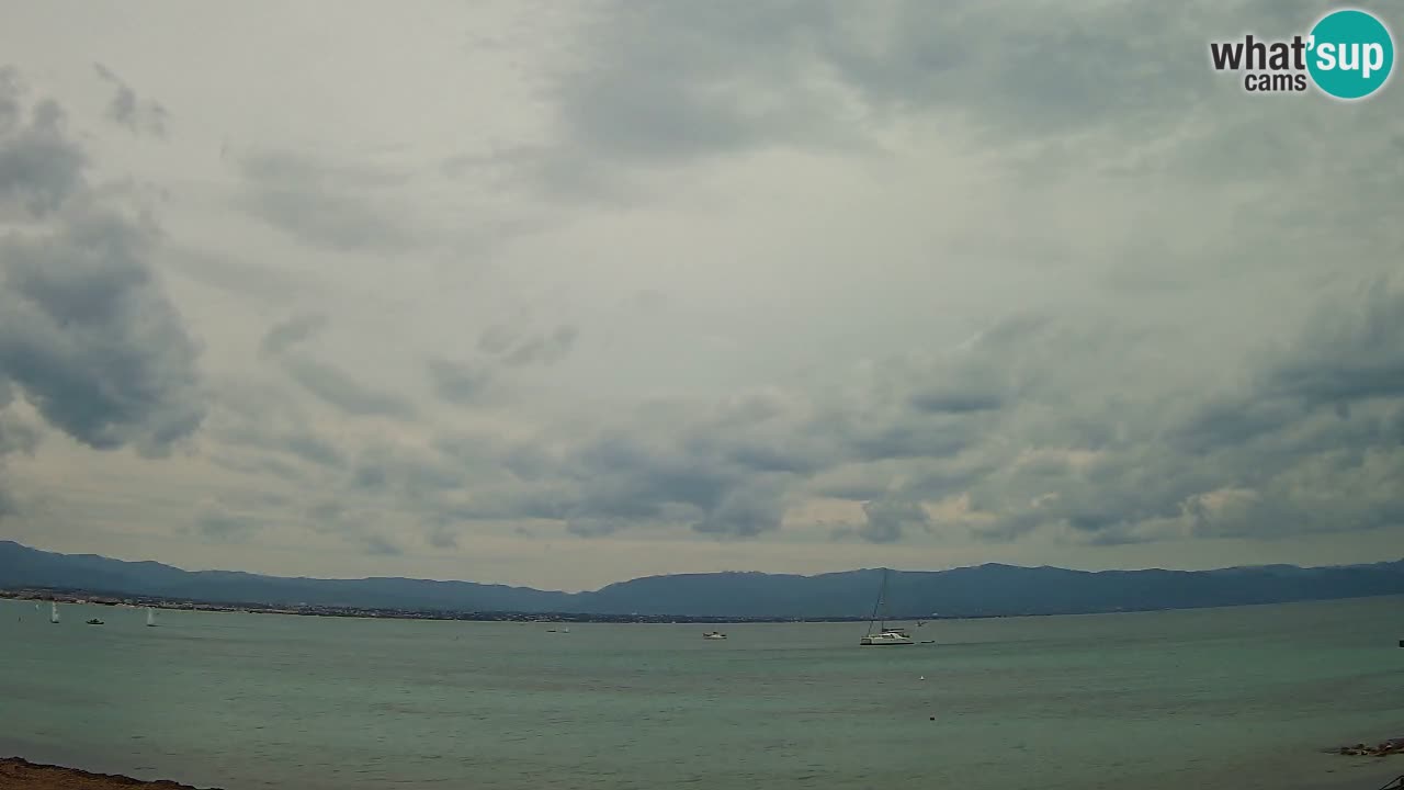 Webcam Cagliari Windsurf Club – Spiaggia del Poetto in diretta