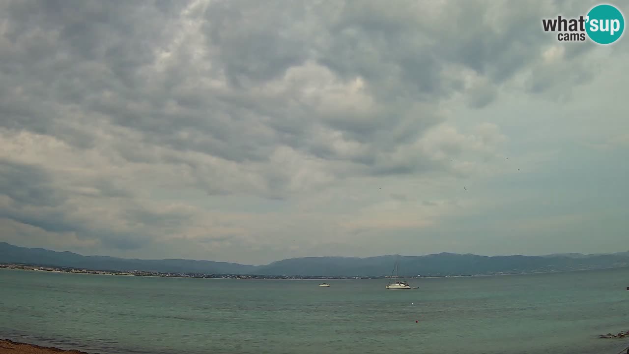 Webcam Cagliari Windsurf Club – Live from Poetto Beach