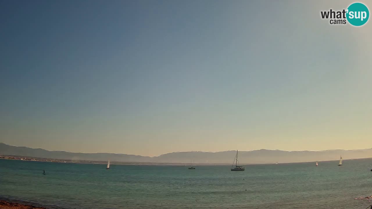 Webcam Cagliari Windsurf Club – Live from Poetto Beach