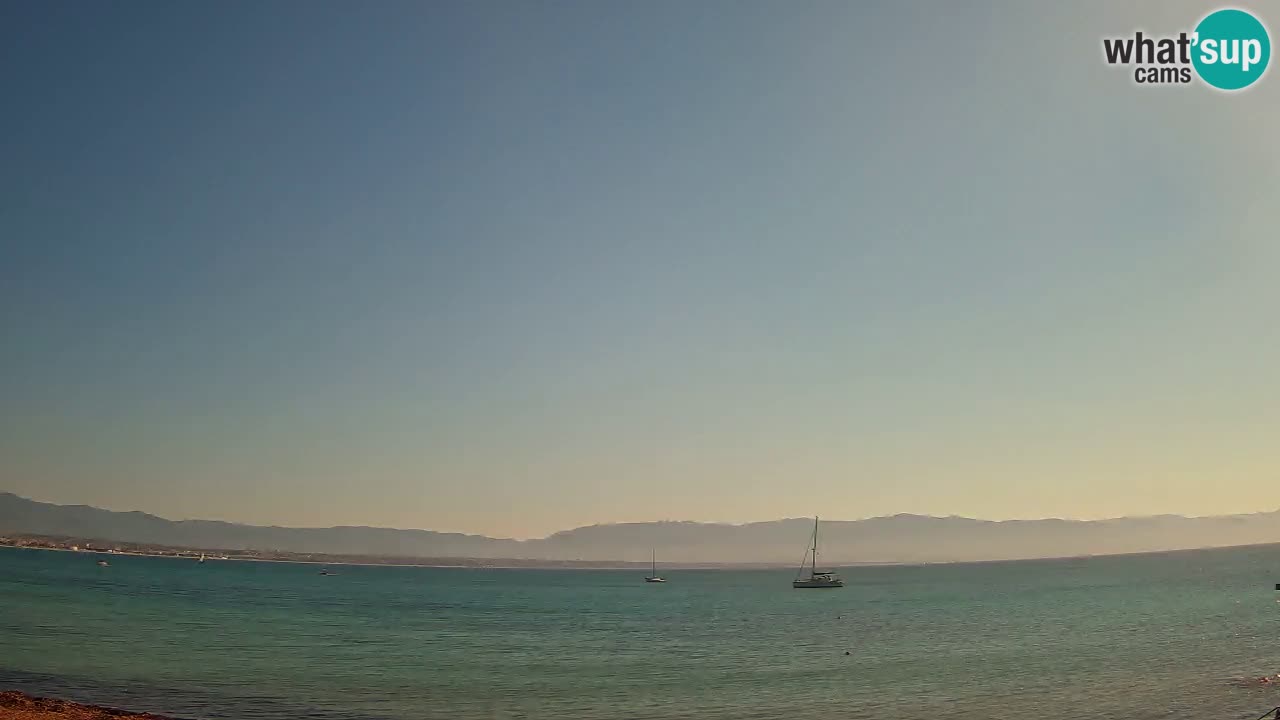 Webcam Cagliari Windsurf Club – Liveblick vom Poetto Strand