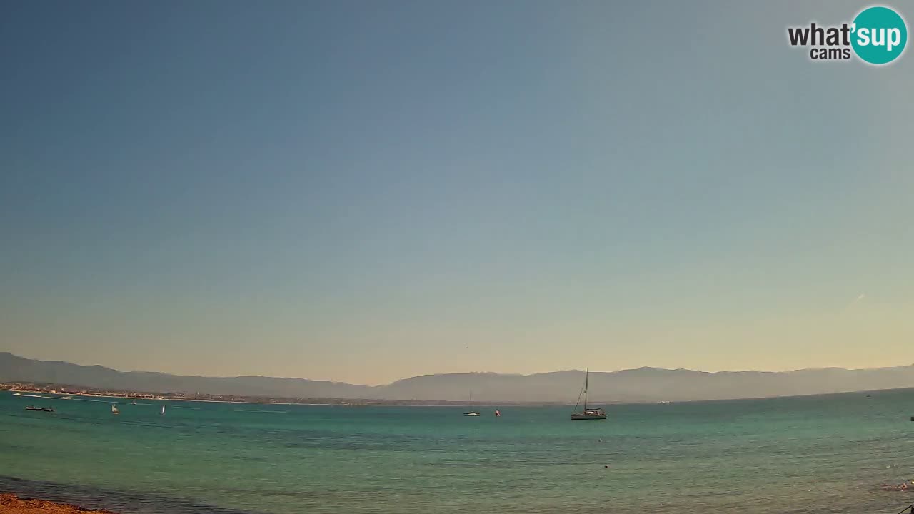 Webcam Cagliari Windsurf Club – Playa del Poetto en directo