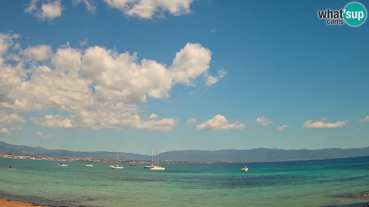 Webcam Cagliari Windsurf Club – Spiaggia del Poetto in diretta