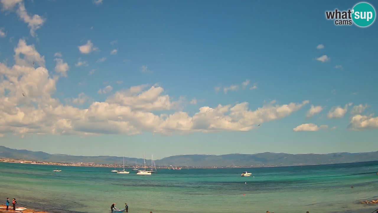 Webcam Cagliari Windsurf Club – Live from Poetto Beach
