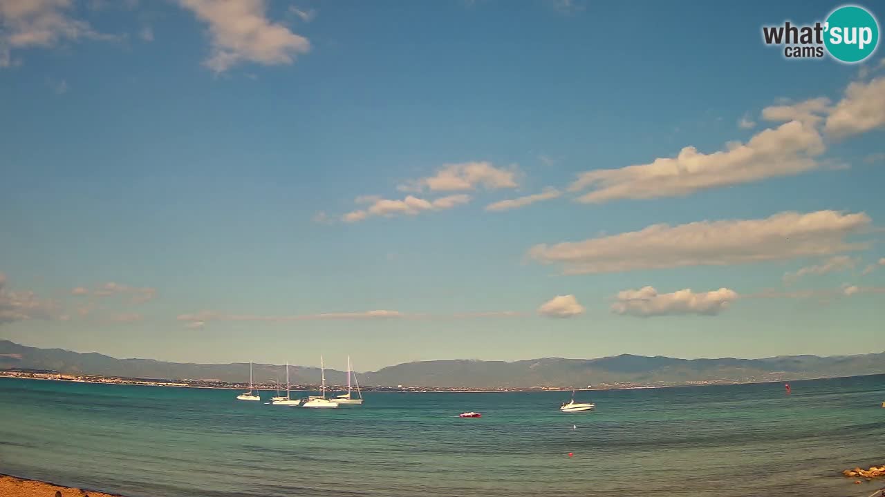 Webcam Cagliari Windsurf Club – Plage du Poetto en direct