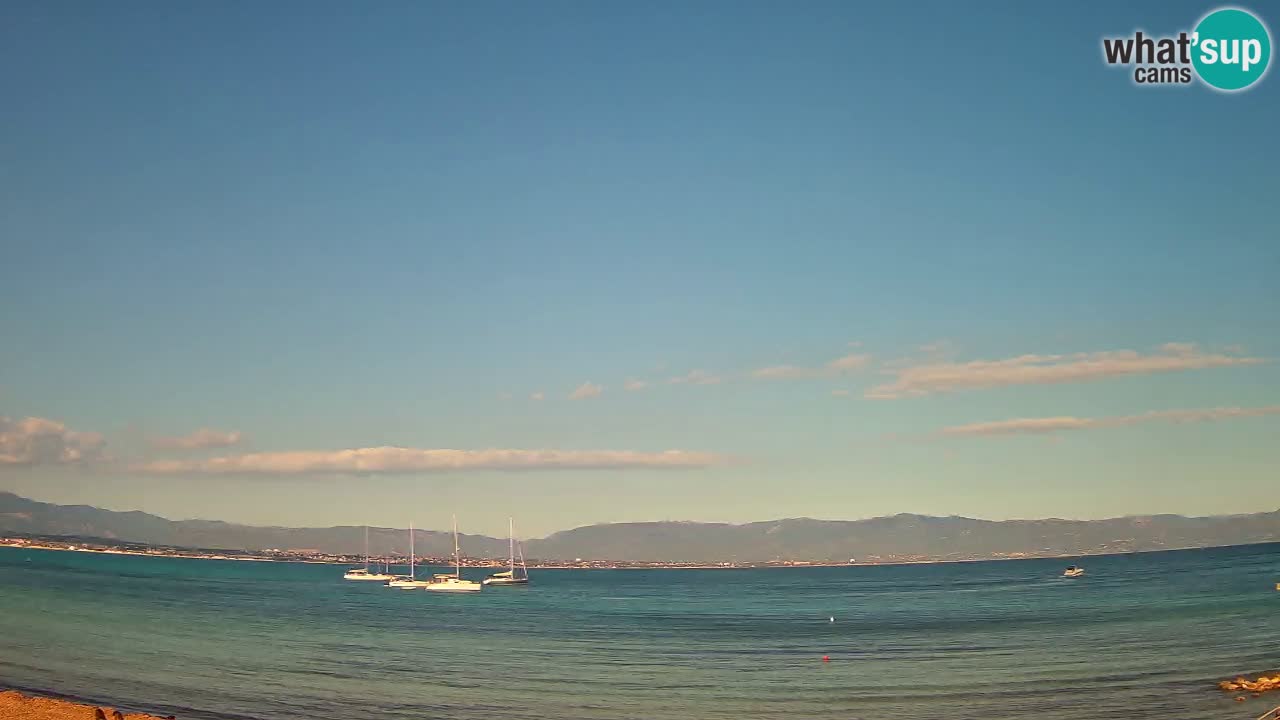 Webcam Cagliari Windsurf Club – Plage du Poetto en direct
