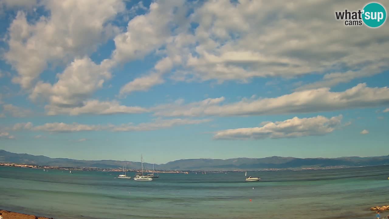 Webcam Cagliari Windsurf Club – Plage du Poetto en direct