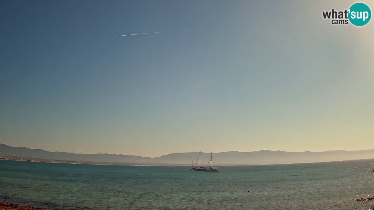 Webcam Cagliari Windsurf Club – Liveblick vom Poetto Strand