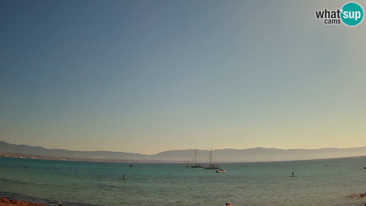 Webcam Cagliari Windsurf Club – Liveblick vom Poetto Strand