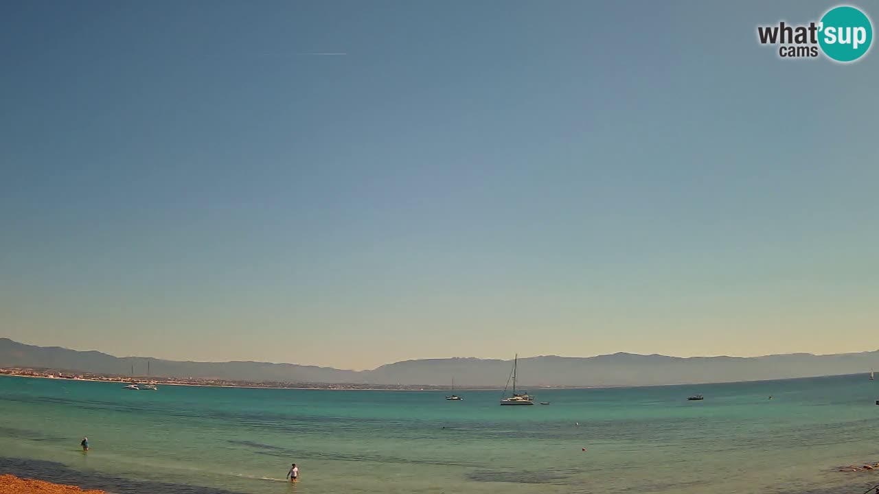 Webcam Cagliari Windsurf Club – Live from Poetto Beach