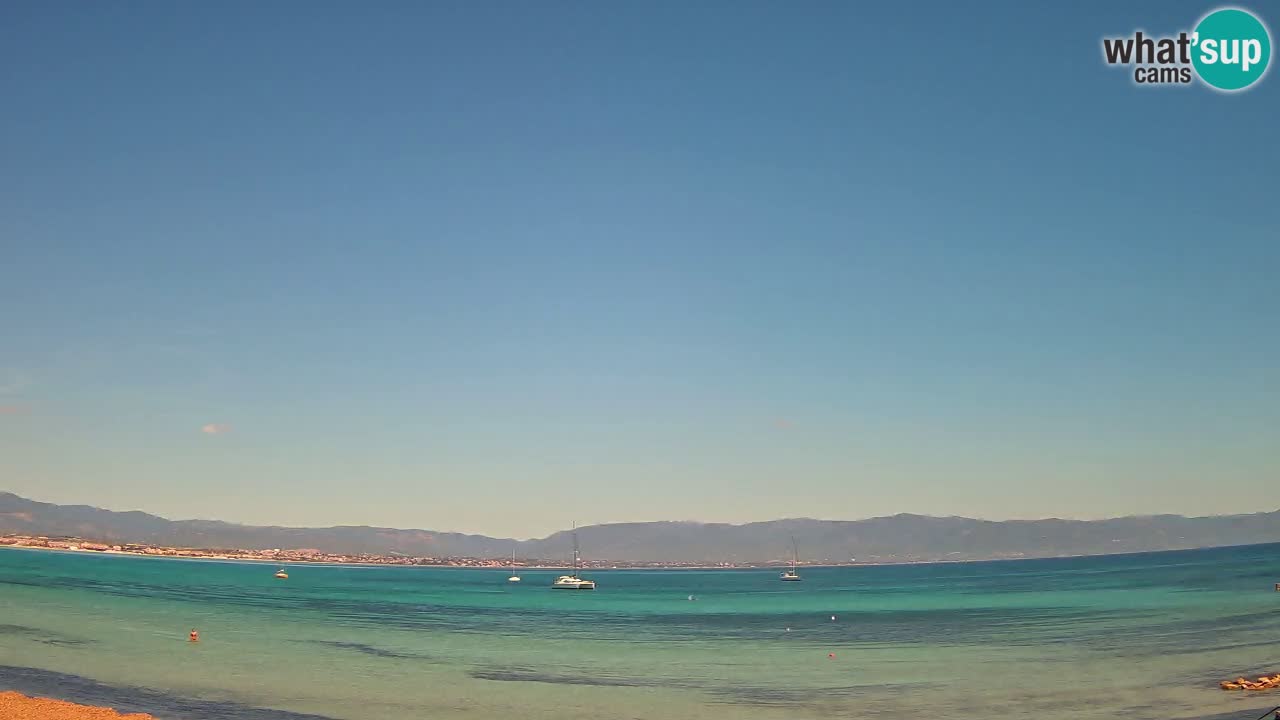 Webcam Cagliari Windsurf Club – Plage du Poetto en direct