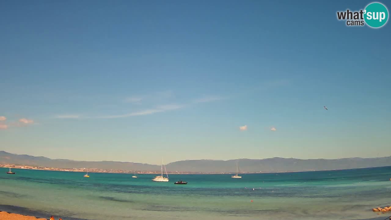 Web kamera Cagliari Windsurf Club – Poetto plaža uživo