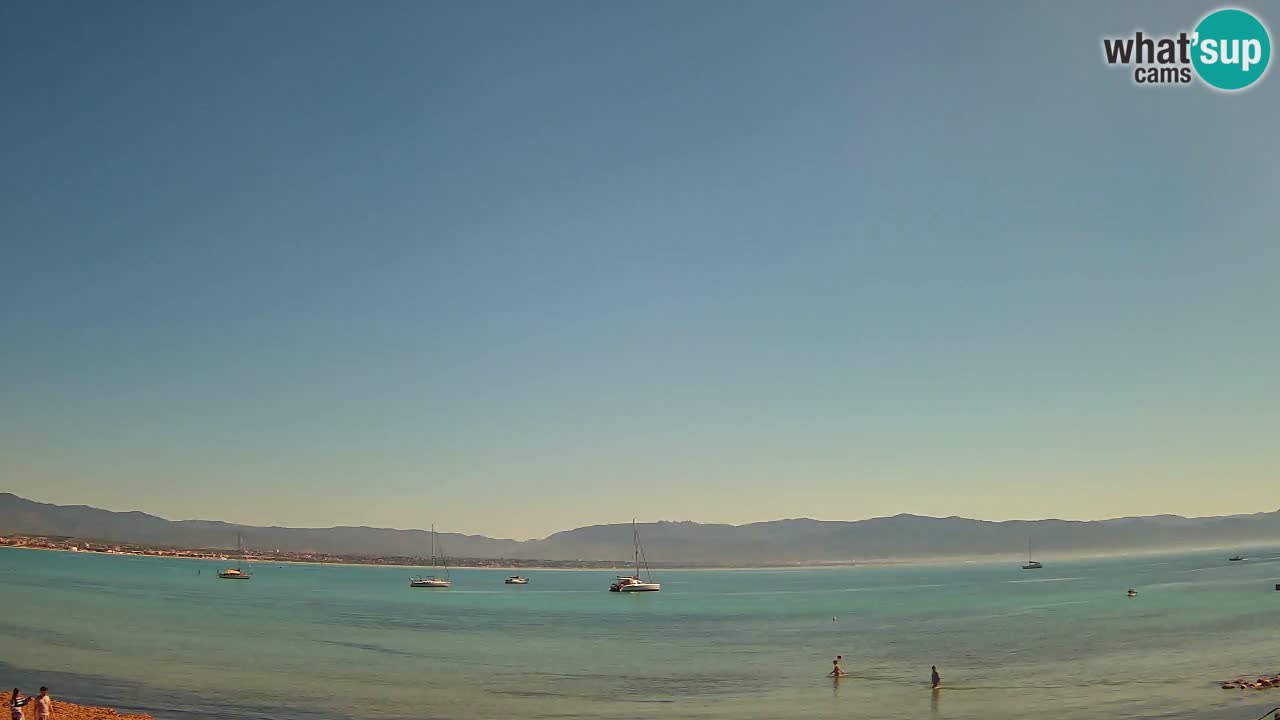 Webcam Cagliari Windsurf Club – Plage du Poetto en direct