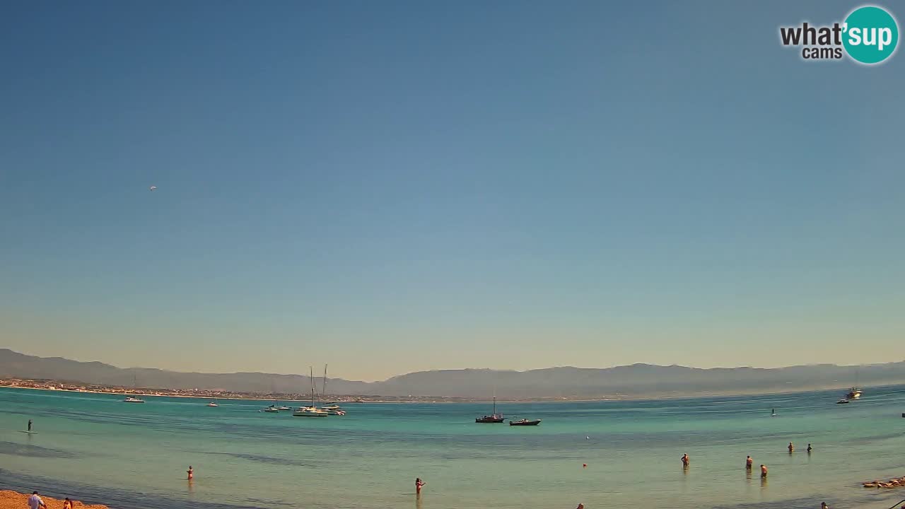 Webcam Cagliari Windsurf Club – Plage du Poetto en direct