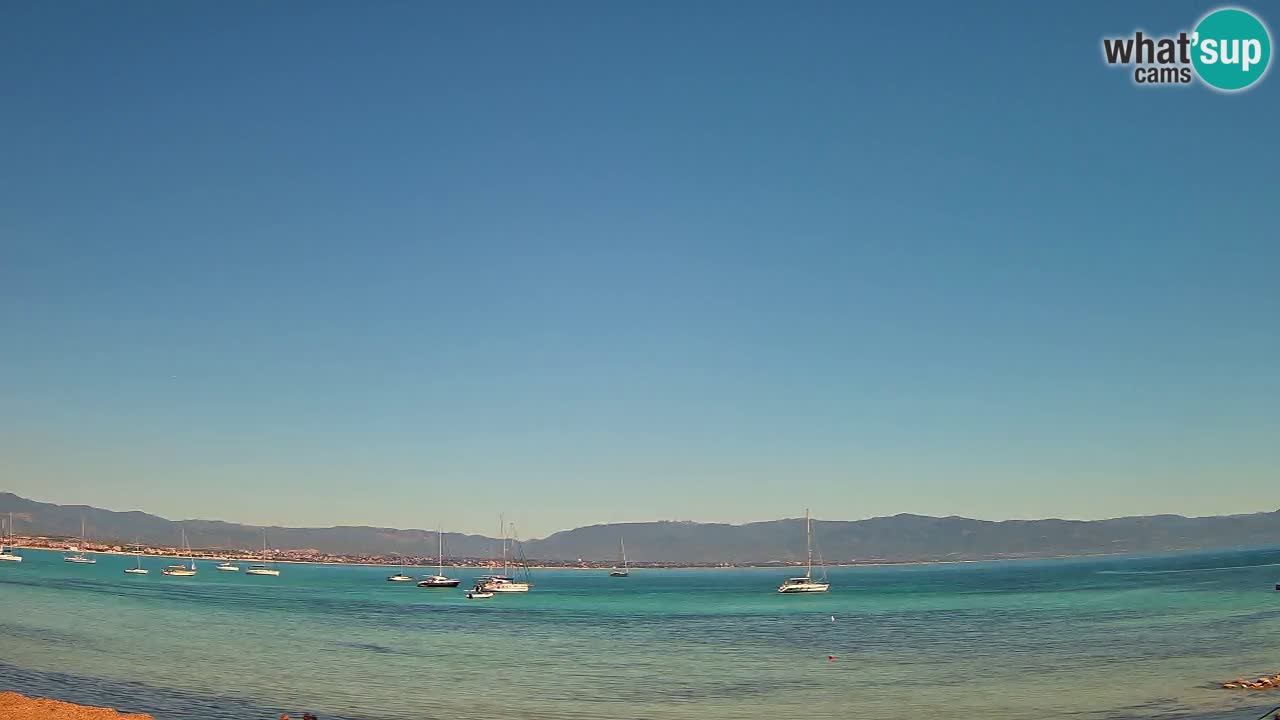 Webcam Cagliari Windsurf Club – Plage du Poetto en direct