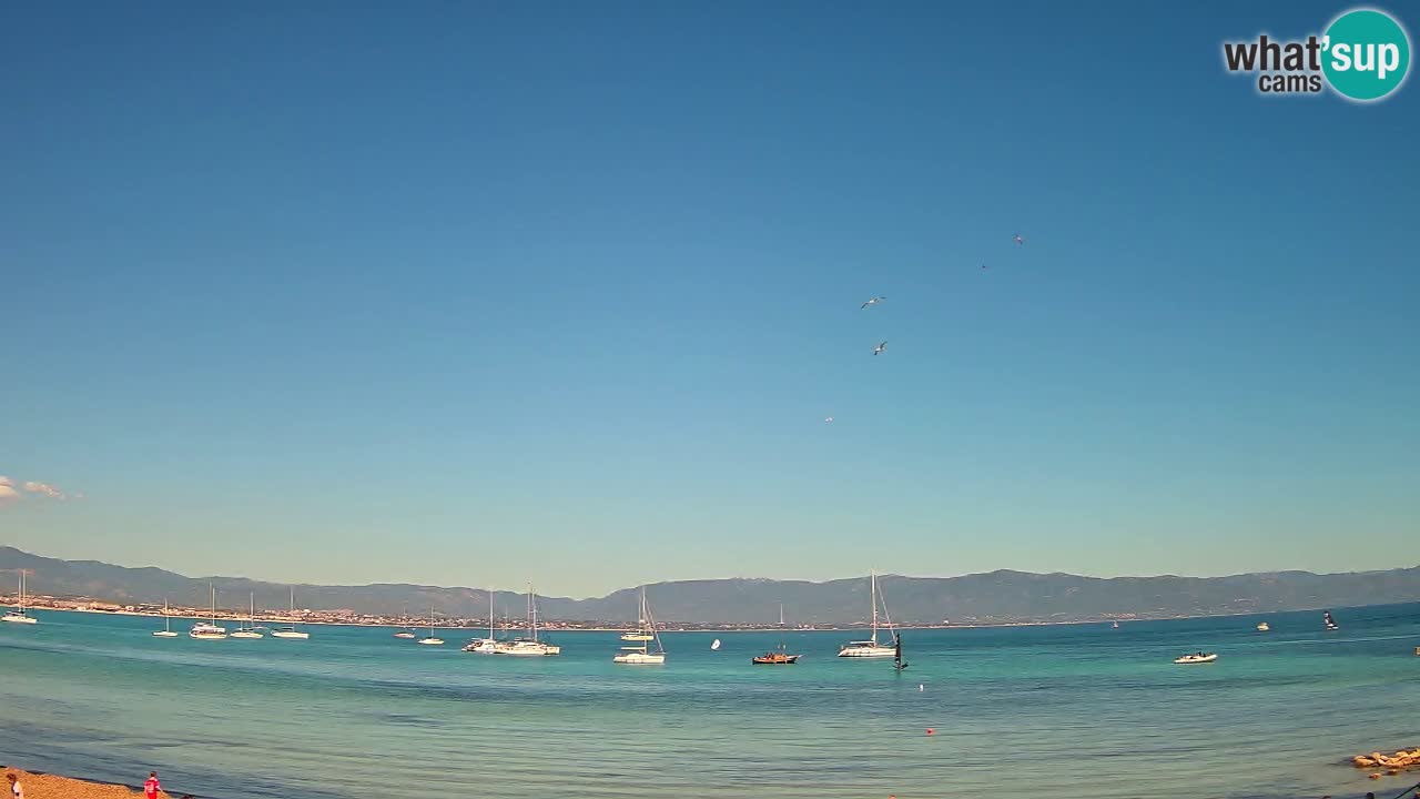 Webcam Cagliari Windsurf Club – Playa del Poetto en directo