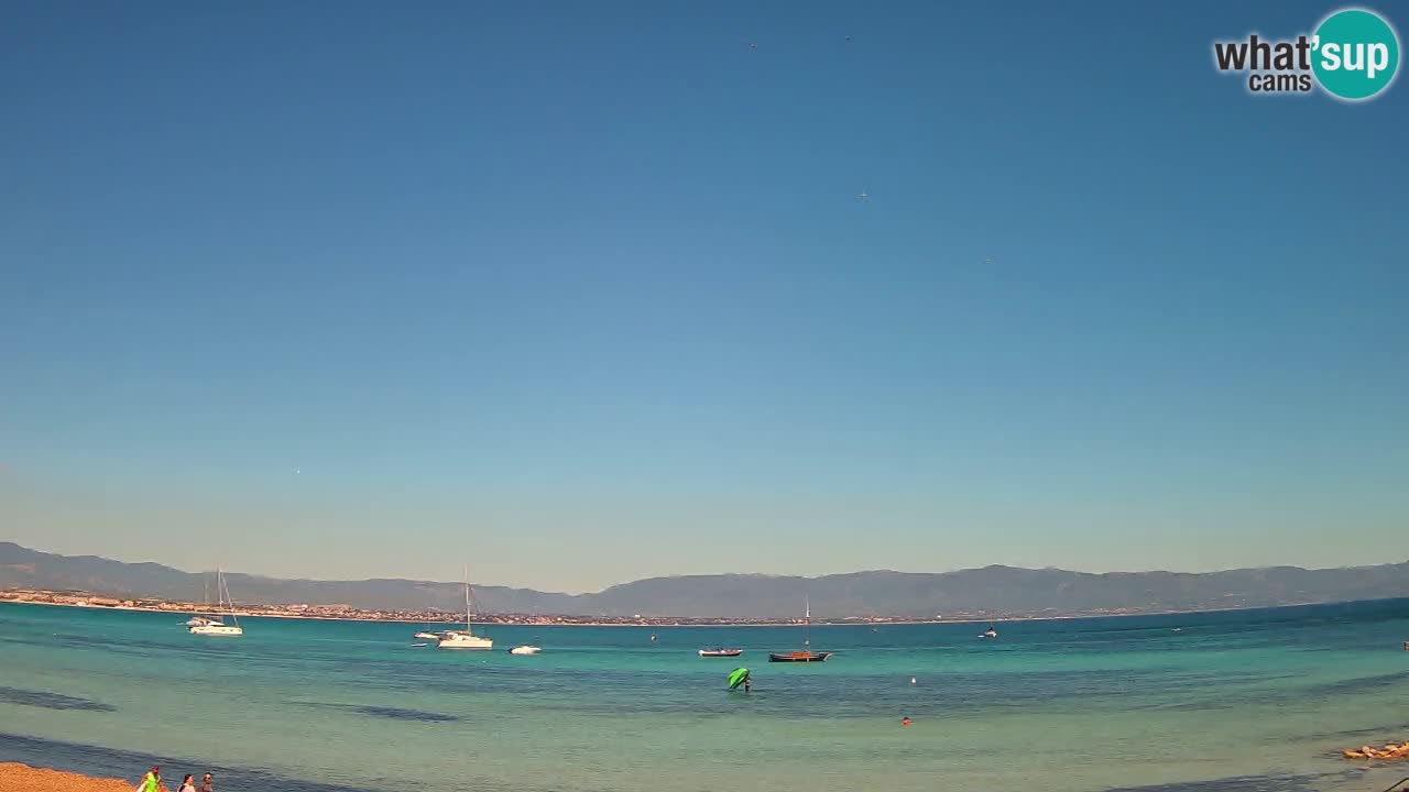 Webcam Cagliari Windsurf Club – Plage du Poetto en direct