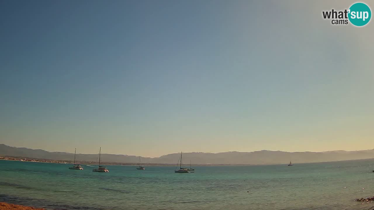 Webcam Cagliari Windsurf Club – Playa del Poetto en directo